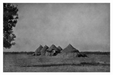 Haystacks