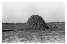 Haystack