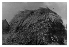 Haystack