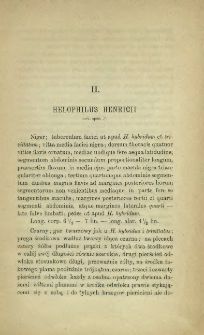 Helophilus henricii : nov. spec