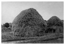 Haystacks