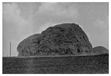 Haystacks