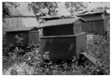 An apiary - wooden beehives