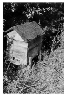 A wooden beehive