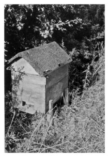 A wooden beehive