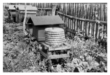 Wooden beehives and a bee skep