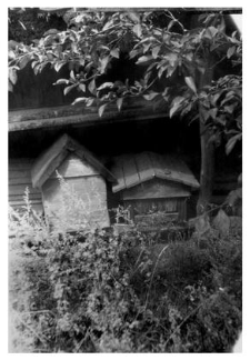 Wooden beehives