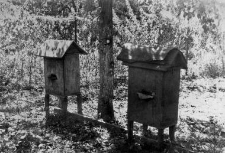 Wooden beehives