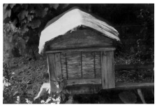 A wooden beehive