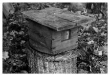 A container for catching swarms of bees