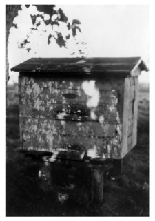 A wooden beehive