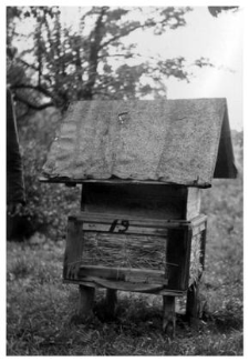 A wooden beehive