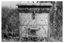 A wooden beehive