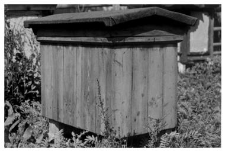 A wooden beehive