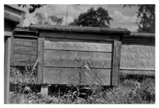 Wooden beehives