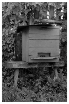 A wooden beehive