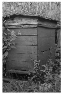 A wooden beehive