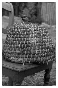 A bee skep