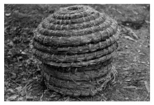 A bee skep