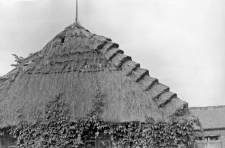 straw-thatched roof