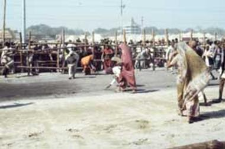 Kumbha Mela