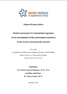 Drebrin and myosin VI : cytoskeletal regulators of the development of the postsynaptic machinery at the murine neuromuscular junction : PhD thesis