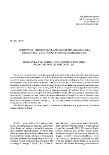 Borownia. The prehistoric striped flint mine from the World Heritage List