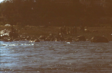 Place where the body was burnt, Rishikesh (Iconographic document)