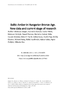 Baltic Amber in Hungarian Bronze Age. New data and current stage of research