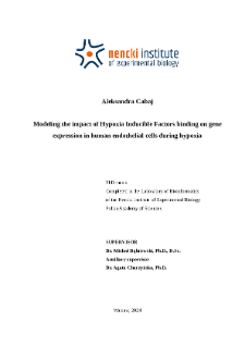 Modeling the Impact of Hypoxia Inducible Factors binding on gene expression in human endothelial cells during hypoxia : PhD thesis