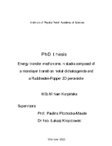 Energy transfer mechanisms in stacks composed of a monolayer transition metal dichalcogenide and a Ruddlesden-Popper 2D perovskite