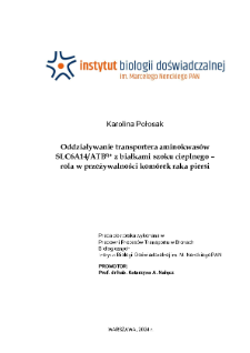 Oddziaływanie transportera aminokwasów SLC6A14/ATB0,+ z białkami szoku cieplnego - rola w przeżywalności komórek raka piersi : praca doktorska