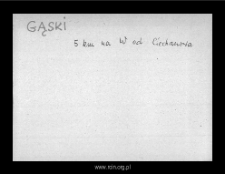 Gąski. Files of Niedzborz district in the Middle Ages. Files of Historico-Geographical Dictionary of Masovia in the Middle Ages