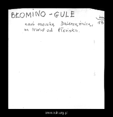 Błomino-Gule. Kartoteka powiatu płońskiego w średniowieczu. Kartoteka Słownika historyczno-geograficznego Mazowsza w średniowieczu