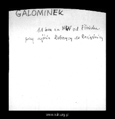 Galominek. Files of Plonsk district in the Middle Ages. Files of Historico-Geographical Dictionary of Masovia in the Middle Ages