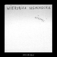 Wierzbica Szlachecka. Files of Plonsk district in the Middle Ages. Files of Historico-Geographical Dictionary of Masovia in the Middle Ages