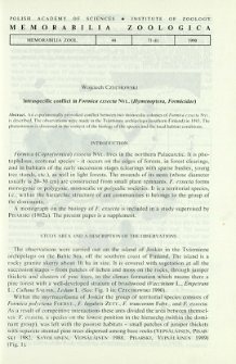 Intraspecific conflict in Formica exsecta Nyl. (Hymenoptera, Formicidae)