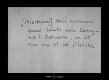 Miedzewo. Files of Wyszogrod district in the Middle Ages. Files of Historico-Geographical Dictionary of Masovia in the Middle Ages