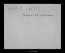 Żabino-Gąsiory. Kartoteka powiatu mławskiego w średniowieczu. Kartoteka Słownika historyczno-geograficznego Mazowsza w średniowieczu