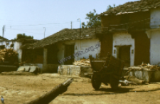 Buildings and houses in the town Nathdvara (Iconographic document)