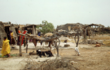 Rabaris from the southern part of Sindh, Pakistan (Iconographic document)