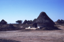 Traditional village, shrines of kachchi rabari (Iconographic document)