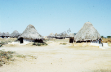 Traditional village, shrines of kachchi rabari (Iconographic document)