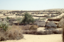 Clay cottage bhunga on the Thar desert (Iconographic document)