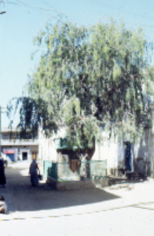 Streets of the village, Gujarat (Iconographic document)