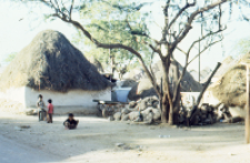 Traditional huts (Iconographic document)