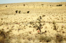 Groby na pustyni Thar (Dokument ikonograficzny)