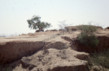 Cmentarz muzułmański z Radżastanu (Dokument ikonograficzny)
