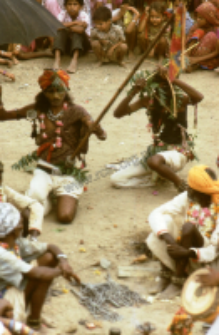 Gauri Dance, Bhils (Iconographic document)