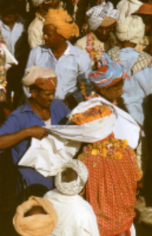 Gauri Dance, Bhils (Iconographic document)